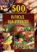 Книга - Анастасия Геннадьевна Красичкова - 500 блюд на гриле (fb2) читать без регистрации