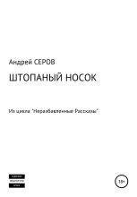 Книга - Андрей  Серов - Штопаный носок (fb2) читать без регистрации