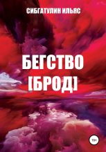 Книга - Ильяс  Сибгатулин - Бегство [Брод] (fb2) читать без регистрации