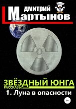 Книга - Дмитрий  Мартынов - Звёздный юнга: 1. Луна в опасности (fb2) читать без регистрации