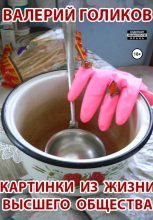 Книга - Валерий Анатольевич Голиков - Картинки из жизни высшего общества (fb2) читать без регистрации