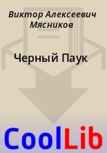 Книга - Виктор Алексеевич Мясников - Черный Паук (fb2) читать без регистрации