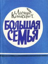 Книга - Леонид Вацлавович Конисевич - Большая семья (fb2) читать без регистрации