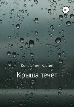 Книга - Константин Александрович Костин - Крыша течет (fb2) читать без регистрации