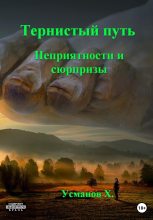 Книга - Хайдарали Мирзоевич Усманов - Неприятности и сюрпризы (fb2) читать без регистрации