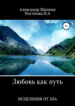 Книга - Александр Сергеевич Шапкин - Любовь как путь исцеления от зла (fb2) читать без регистрации