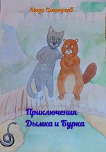 Книга - Игорь  Дмитриев - Приключения Дымка и Бурка (fb2) читать без регистрации