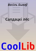 Книга - Васіль  Быкаў - Салдацкi лёс (fb2) читать без регистрации