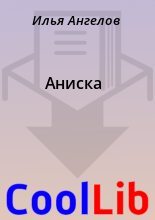 Книга - Илья  Ангелов - Аниска (fb2) читать без регистрации