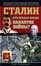 Книга - Олег Юрьевич Козинкин - Сталин. Кто предал вождя накануне войны? (fb2) читать без регистрации