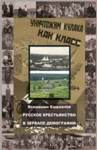 Книга - Вениамин  Башлачев - Русское крестьянство в зеркале демографии (fb2) читать без регистрации
