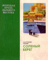 Книга - Анатолий Александрович Ильин - Соленый берег (fb2) читать без регистрации