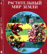 Книга - Ф.  Фукарек - Растительный мир Земли. Т.1 (fb2) читать без регистрации