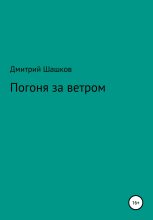 Книга - Дмитрий Андреевич Шашков - Погоня за ветром (fb2) читать без регистрации