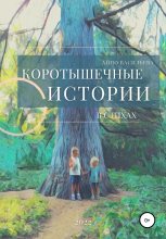 Книга - Айно  Васильева - Коротышечные истории в стихах (fb2) читать без регистрации
