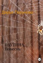 Книга - Дарья  Перунова - Паутина (fb2) читать без регистрации