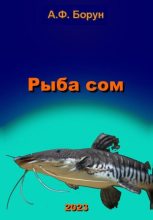 Книга - Александр Феликсович Борун - Рыба сом (fb2) читать без регистрации