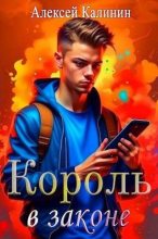 Книга - Алексей  Калинин (М.А.К.) - Real-RPG Король в законе (fb2) читать без регистрации