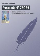 Книга - Михаил Геннадьевич Кликин - Рядовой № 73029 (fb2) читать без регистрации