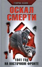 Книга - Генрих  Хаапе - Оскал смерти. 1941 год на Восточном фронте (fb2) читать без регистрации