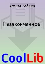 Книга - Камил  Гадеев - Незаконченное (fb2) читать без регистрации