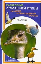 Книга - Юрий  Харчук - Разведение домашней птицы на ферме и приусадебном участке (fb2) читать без регистрации