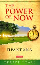 Книга - Экхарт  Толле - The Power of Now. Практика (fb2) читать без регистрации
