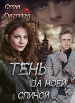 Книга - Ирина  Снегирева - Тень за моей спиной (fb2) читать без регистрации