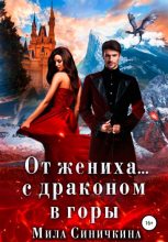 Книга - Мила  Синичкина - От жениха… с драконом в горы (fb2) читать без регистрации