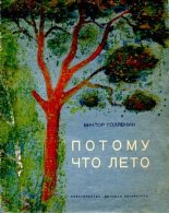 Книга - Виктор Владимирович Голявкин - Потому что лето (pdf) читать без регистрации