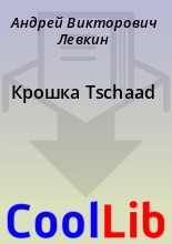 Книга - Андрей Викторович Левкин - Крошка Tschaad (fb2) читать без регистрации