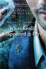 Книга - Сара Риз Бреннан - Что на самом деле произошло в Перу (fb2) читать без регистрации