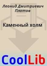 Книга - Леонид Дмитриевич Платов - Каменный холм (fb2) читать без регистрации