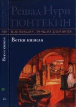Книга - Решад Нури Гюнтекин - Ветки кизила (fb2) читать без регистрации