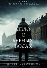 Книга - Игорь  Евдокимов - Дело о бурных водах (fb2) читать без регистрации