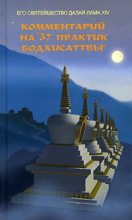 Книга - Тензин  Гьяцо - Комментарий на «37 практик бодхисаттвы» (fb2) читать без регистрации