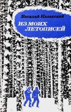 Книга - Василий Иванович Казанский - Из моих летописей (fb2) читать без регистрации