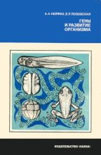 Книга - Александр Александрович Нейфах - Гены и развитие организма (fb2) читать без регистрации
