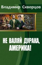 Книга - Владимир Николаевич Скворцов - Не валяй дурака, Америка (fb2) читать без регистрации