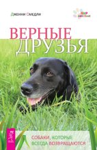 Книга - Дженни  Смедли - Верные друзья. Собаки, которые всегда возвращаются (fb2) читать без регистрации