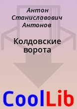 Книга - Антон Станиславович Антонов - Колдовские ворота (fb2) читать без регистрации