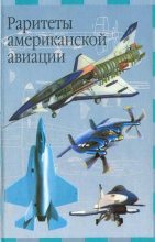 Книга - И.  Кудишин - Раритеты американской авиации (fb2) читать без регистрации