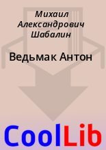 Книга - Михаил Александрович Шабалин - Ведьмак Антон (fb2) читать без регистрации