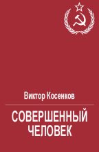 Книга - Виктор Викторович Косенков - Совершенный человек (fb2) читать без регистрации
