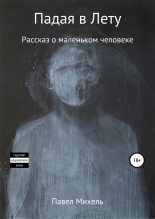 Книга - Павел Олегович Михель - Падая в Лету (fb2) читать без регистрации