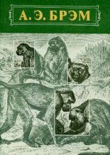 Книга - Альфред Эдмунд Брэм - Жизнь животных Том I Млекопитающие (fb2) читать без регистрации