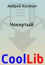 Книга - Андрей  Костин - Чокнутый (fb2) читать без регистрации
