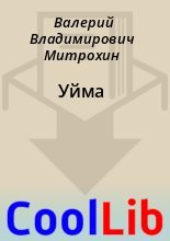 Книга - Валерий Владимирович Митрохин - Уйма (fb2) читать без регистрации