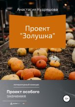 Книга - Анастасия  Кудряшова - Проект «Золушка» (fb2) читать без регистрации