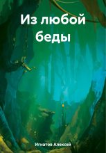Книга - Алексей  Игнатов - Из любой беды (fb2) читать без регистрации